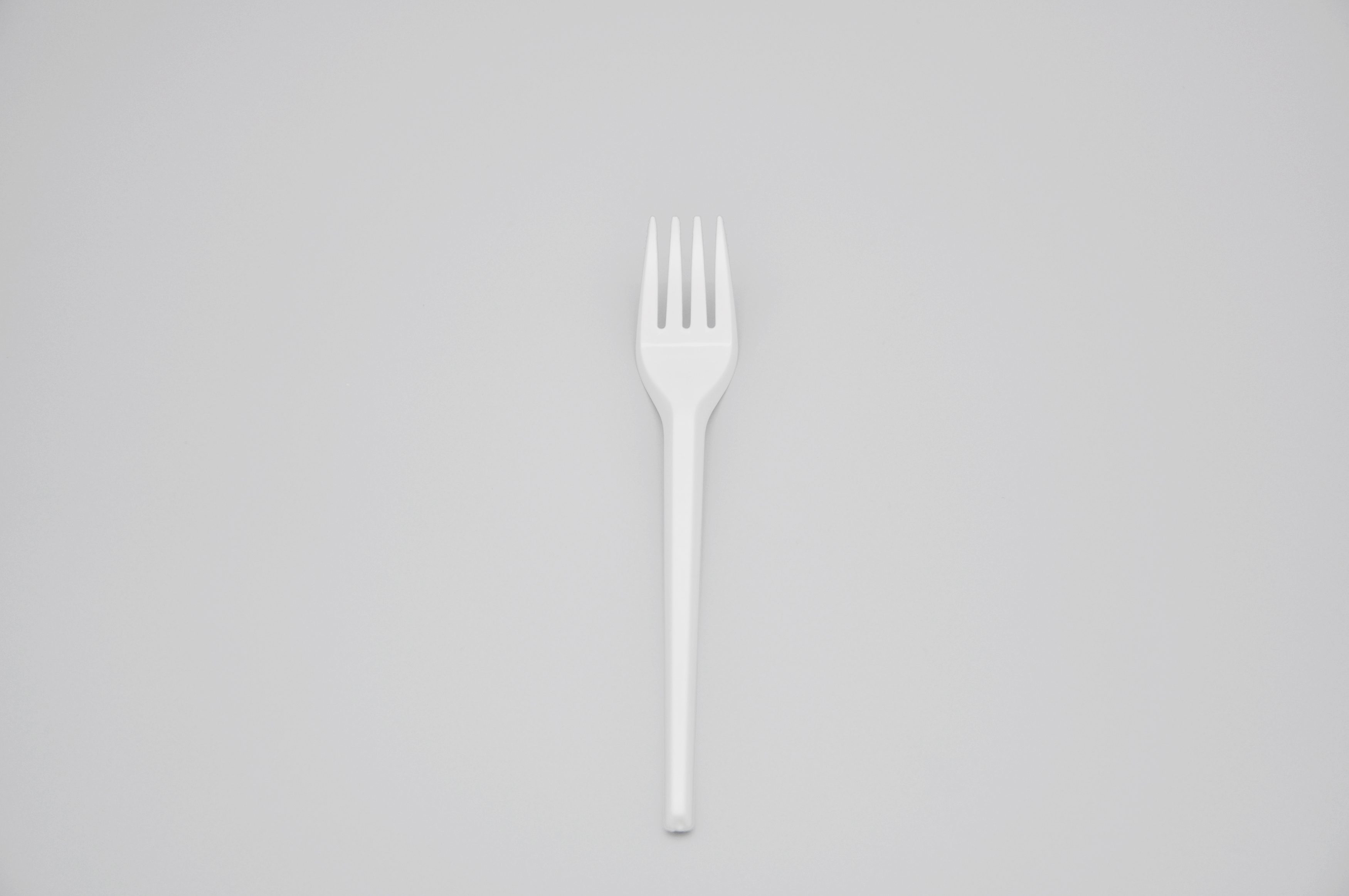 Disposable plastic Fork